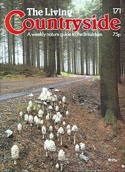 Living Countryside magazine cover
